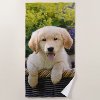 Golden Retriever Baby Dog Puppy Funny Pet Photo __ Beach Towel by Kathom_Photo at Zazzle
