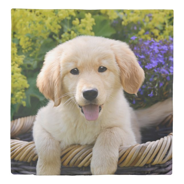 Golden Retriever Baby Dog Puppy Funny Pet Photo - Duvet Cover (Front)