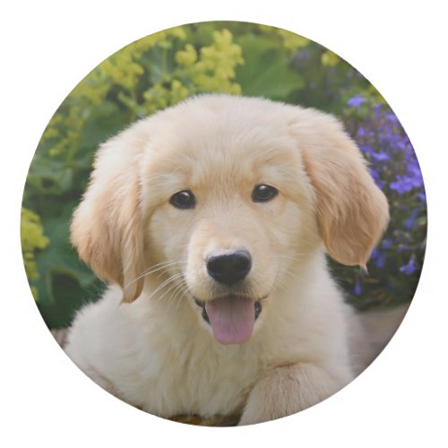 Golden Retriever Baby Dog Puppy Funny Pet Photo  Eraser