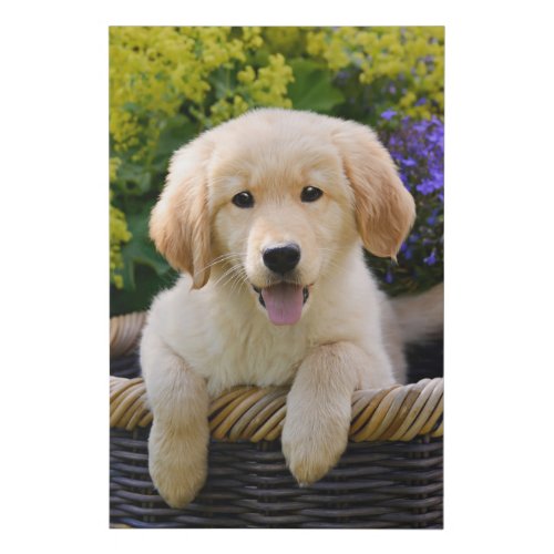 Golden Retriever Baby Dog Puppy Funny Pet Photo _ Faux Canvas Print