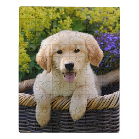 Golden Retriever Baby Dog Puppy Funny Pet Photo _- Jigsaw Puzzle