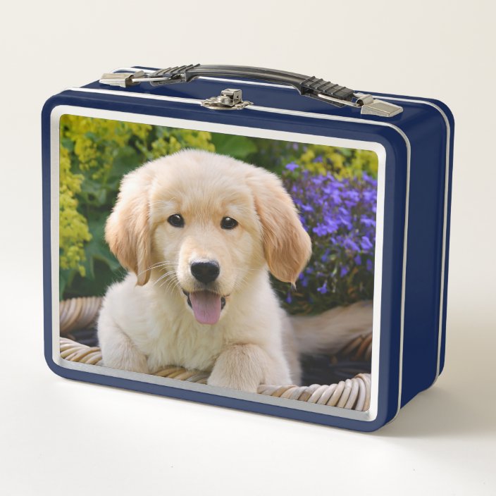 Golden Retriever Baby Dog Puppy Funny Pet Photo Metal Lunch