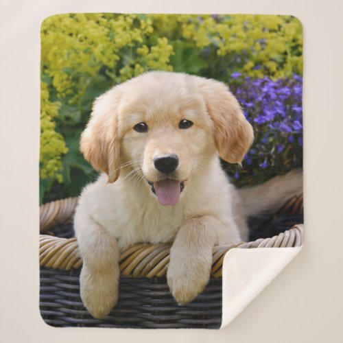 Golden Retriever Baby Dog Puppy Funny Pet Photo  Sherpa Blanket