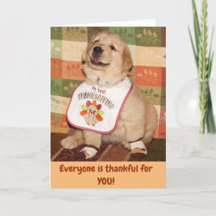 Golden Retriever Baby’s First Thanksgiving Holiday Card