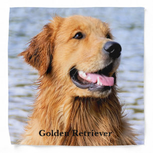 Golden Retriever Bandana