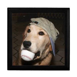 Golden Retriever Baseball Puppy Keepsake Box