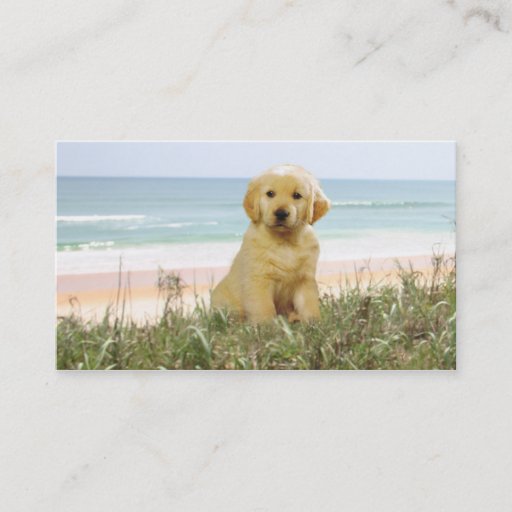 Customizable Golden Retriever Beach Grass Breeder Business Card