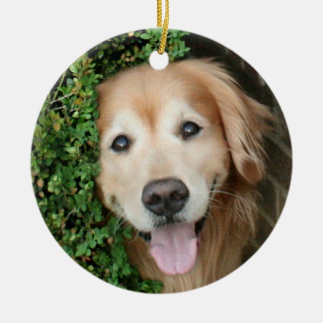 Golden Retriever Behind A Smile Ceramic Ornament (Front)