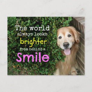 Golden Retriever Behind A Smile Postcard