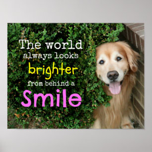 Golden Retriever Behind A Smile Poster