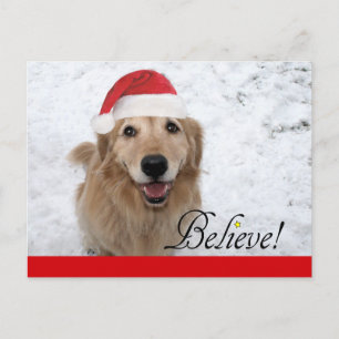 Golden Retriever Believe Christmas Holiday Postcard