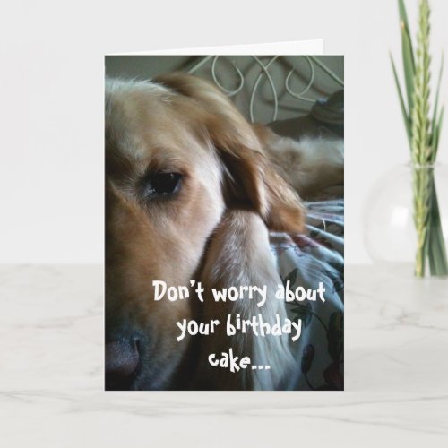 Golden Retriever Birthday Card