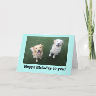 Golden Retriever Birthday Card