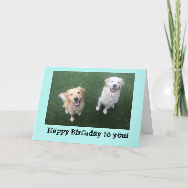 Golden Retriever Birthday Card | Zazzle