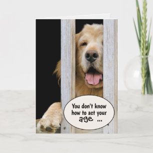 Golden Retriever Birthday Humor Card