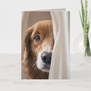 Golden Retriever Birthday Humor Card