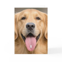 Golden Retriever Birthday Humor