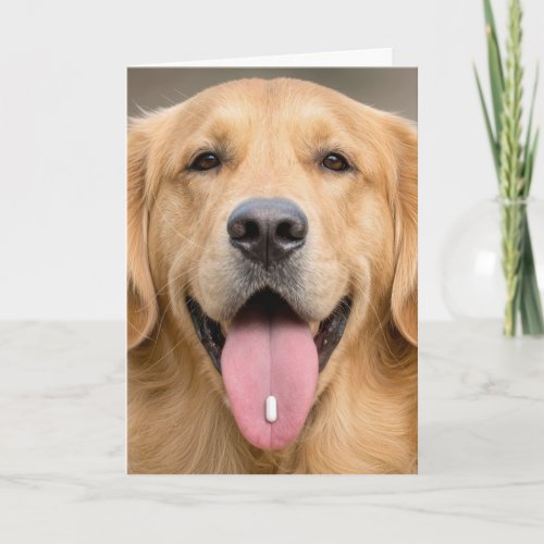 Golden Retriever Birthday Humor Card