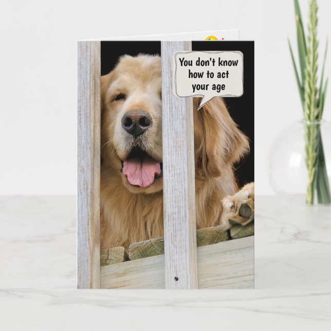 Golden Retriever Birthday Humor Card (Front)