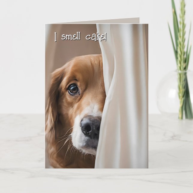 Golden Retriever Birthday Humor Card (Front)