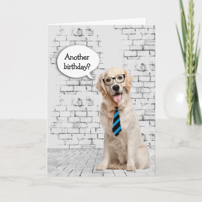 Golden Retriever Birthday Humor Card (Front)