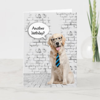 Golden Retriever Birthday Humor Card