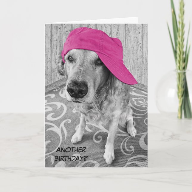 Golden Retriever Birthday Humor Card (Front)