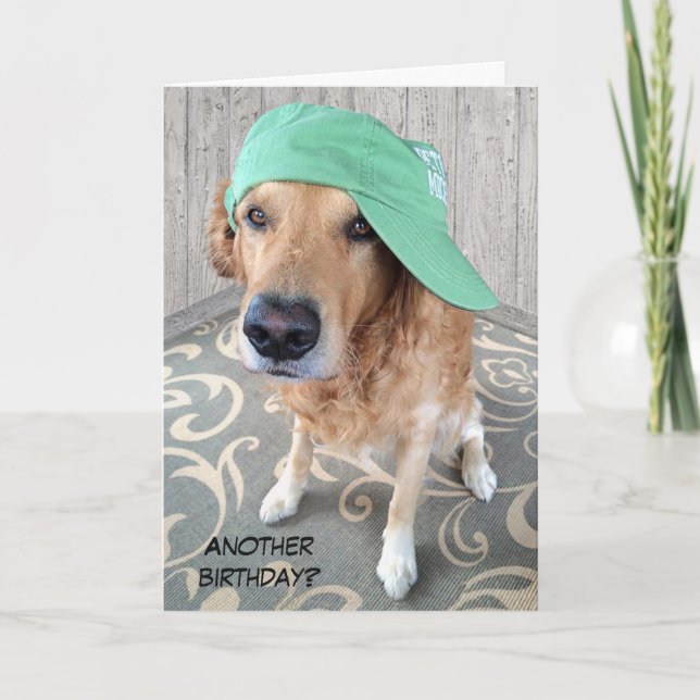 Golden Retriever Birthday Humor Card (Front)