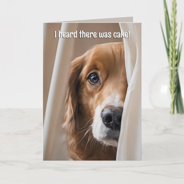 Golden Retriever Birthday Humor Card (Front)