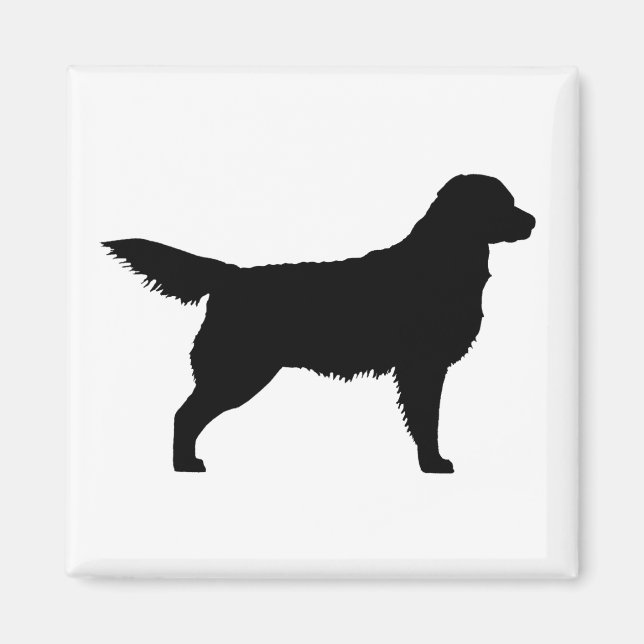 Golden Retriever (black) Magnet (Front)