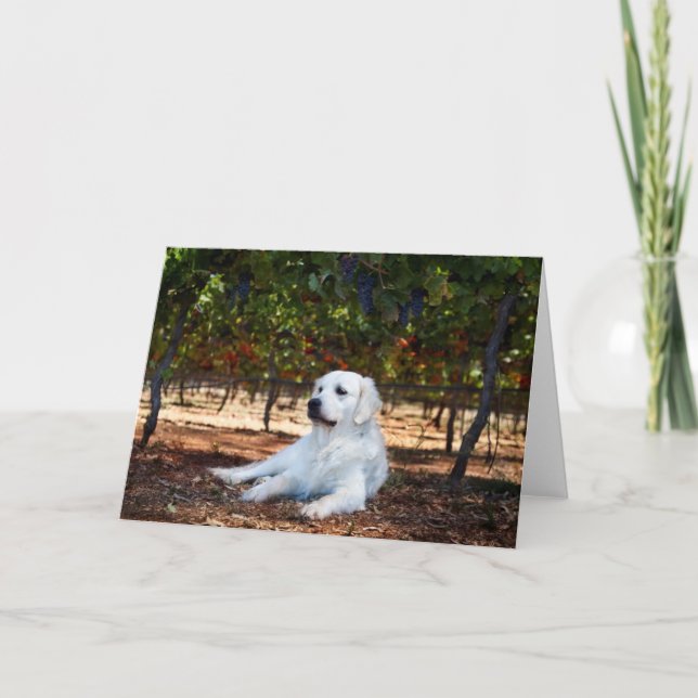 Golden Retriever Blank Greeting Card (Front)