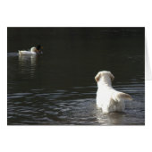 Golden Retriever Blank Photo Card (Front Horizontal)