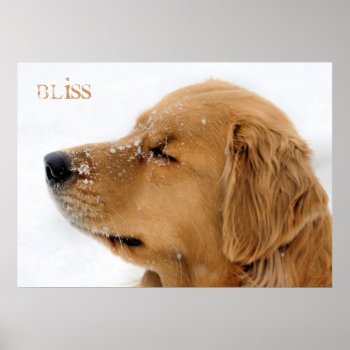 Golden Retriever Bliss Customizable Poster by artinphotography at Zazzle