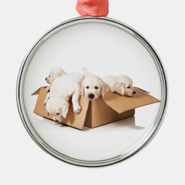 Golden Retriever Box of Fun Metal Ornament (Front)