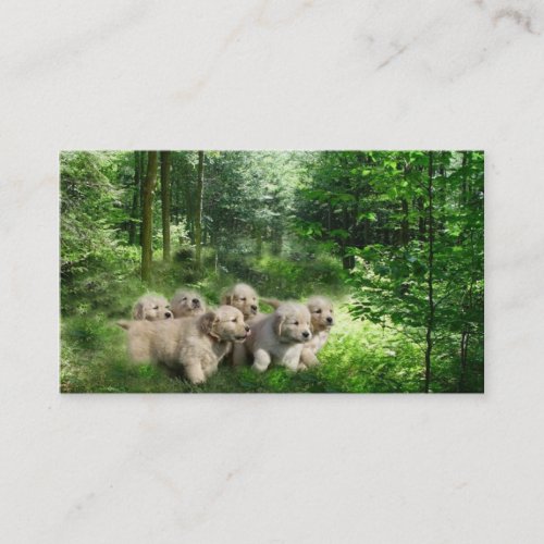 Golden Retriever Breeder Business Card
