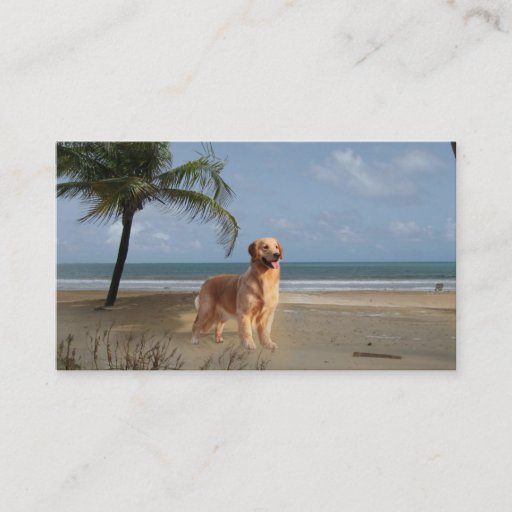 Customizable Golden Retriever Breeder Business Card