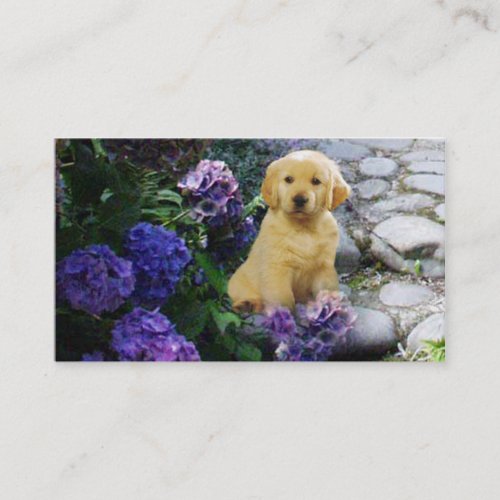 Golden Retriever Breeder Business Card