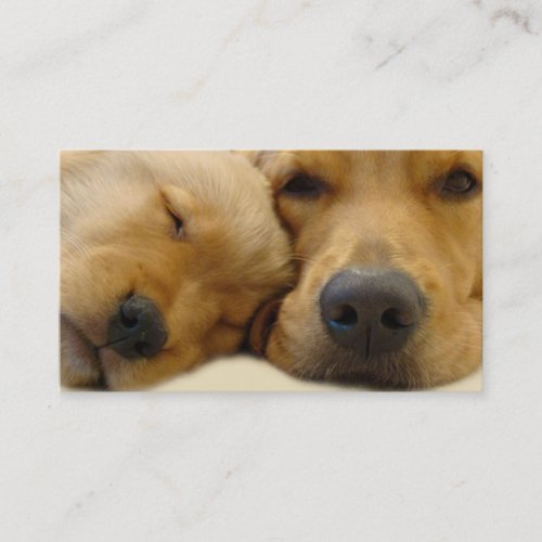 Golden Retriever Breeder Business Card