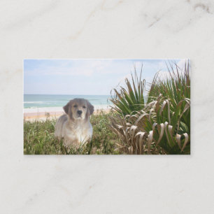 Golden Retriever Breeder Business Card