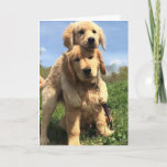 Golden Retriever Brothers Card<br><div class="desc">Golden Retrievers are lovable, well-mannered, smart dogs with a great charm. They are easily trained and always patient and gentle with children. Charming, devoted, and self-assured, they are a popular family dog. Energetic and loving, Golden Retrievers enjoy pleasing their masters, so obedience training can be very rewarding. They excel in...</div>
