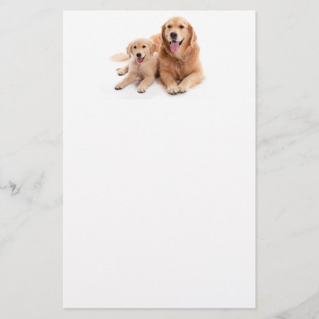 Golden Retriever Buddies Stationery (Front)