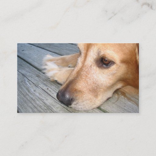 Customizable Golden Retriever Business Card
