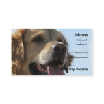 Golden Retriever Business Card