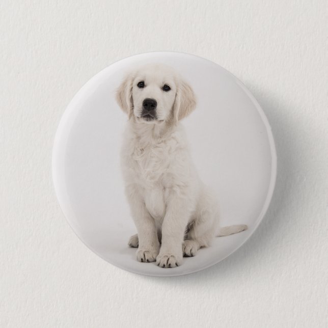 golden retriever button (Front)