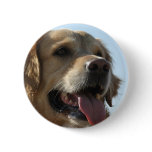 Golden Retriever Button