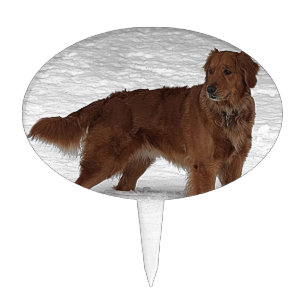 Golden Retriever Cake Topper