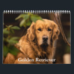 Golden Retriever Calendar<br><div class="desc">A Calendar with 12 different pictures of Golden Retriever</div>