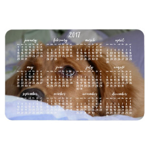 Golden Retriever Calendar 2017 Large Photo Magnet