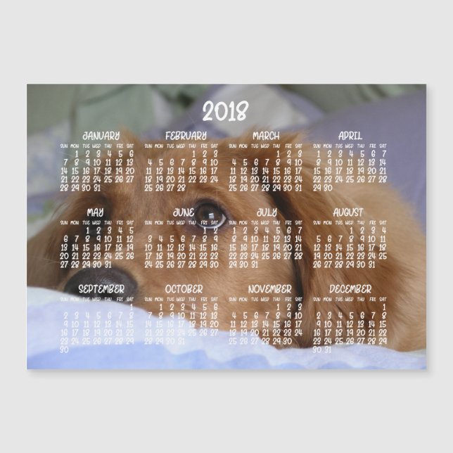 Golden Retriever Calendar 2018 Magnetic Card 5x7 (Front)