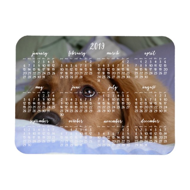 Golden Retriever Calendar 2019 With Photo Magnet (Horizontal)